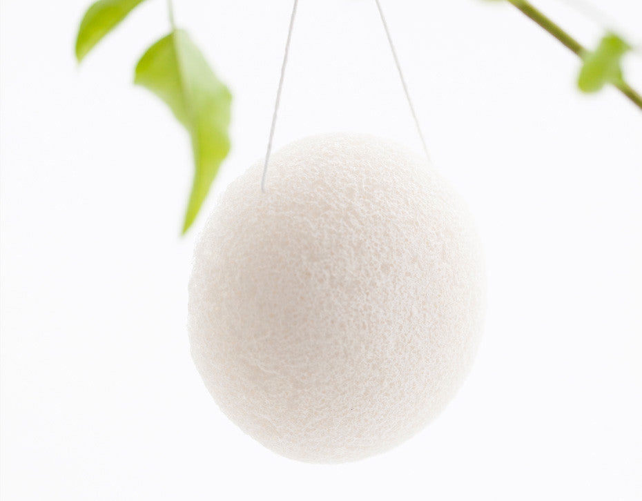 Carelia Konjac Vegetable Sponge natural baby and face sponge